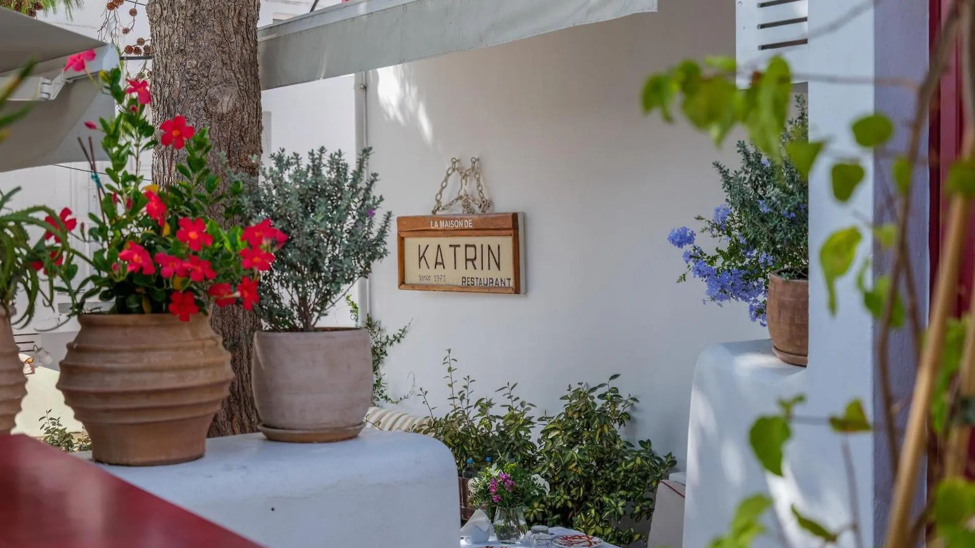 ***  23 Hotel Mykonos Mykonos Town Grécia