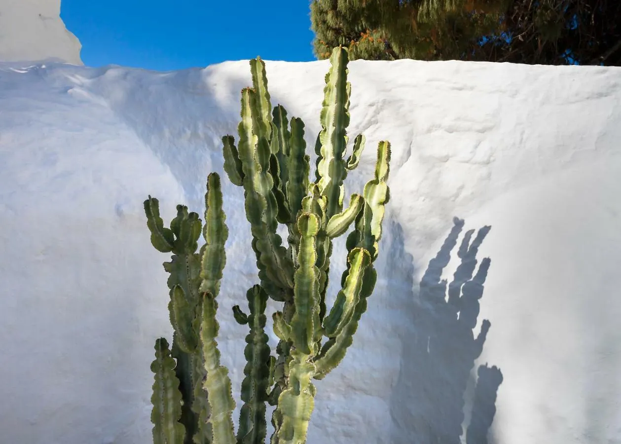 23 Hotel Mykonos Mykonos Town Grécia